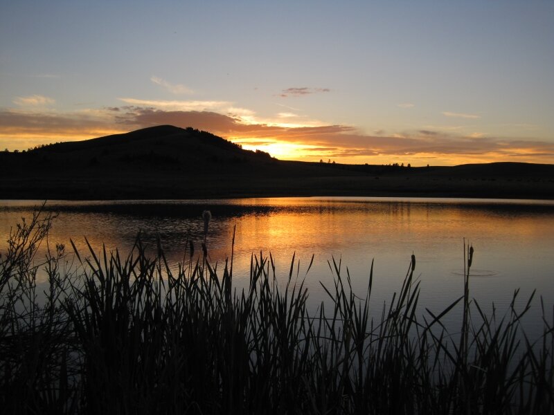 Evening Rise