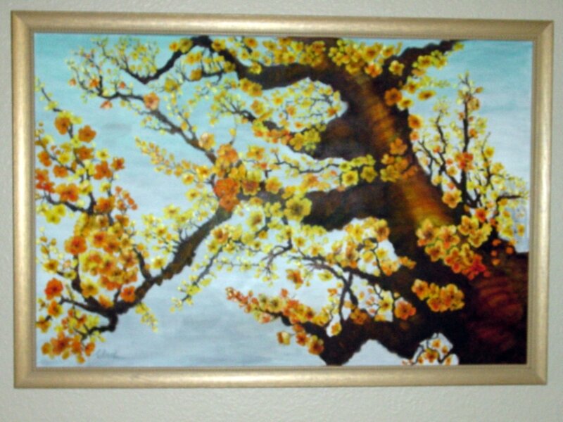 Cherry Blossoms