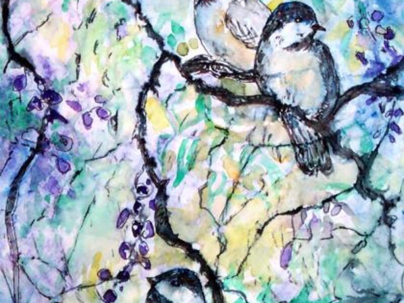 Chickadees
