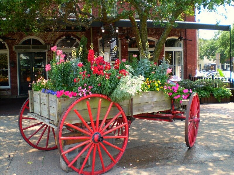 To Market,To Market...City Market,that is