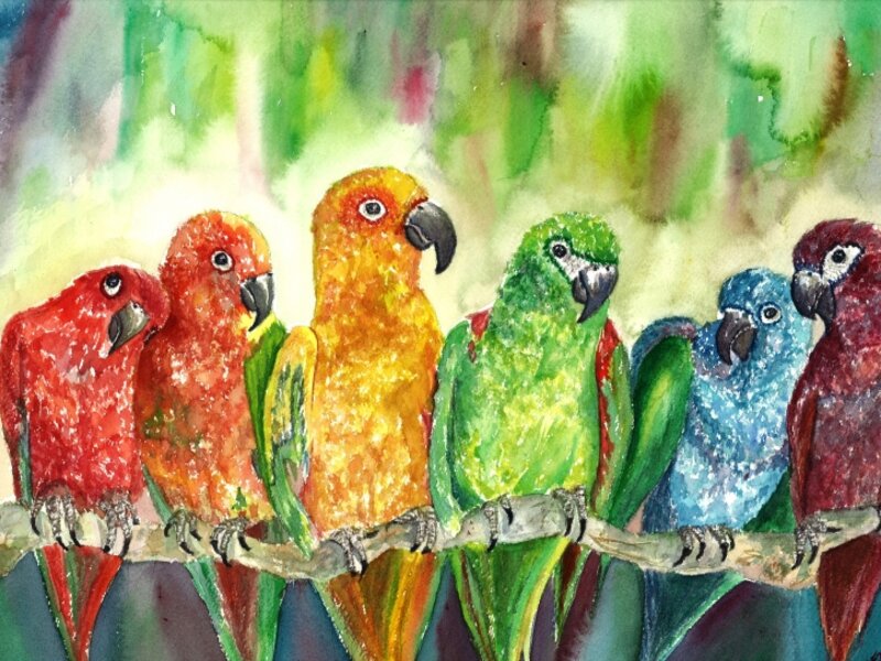 Tropical Birds
