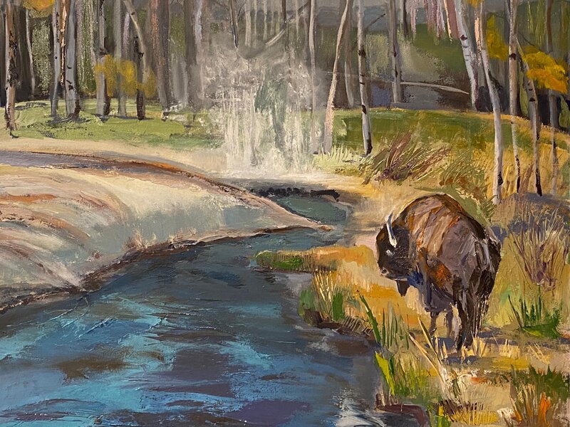 Bison and Hot Spring Yellowstone