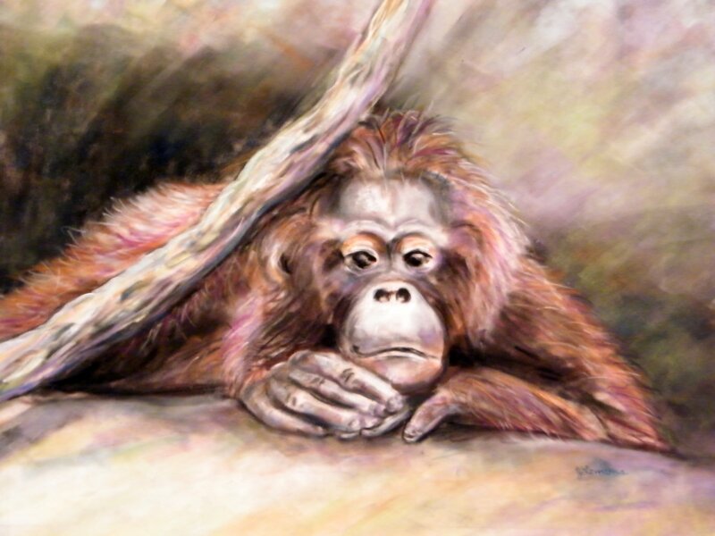 Contemplating