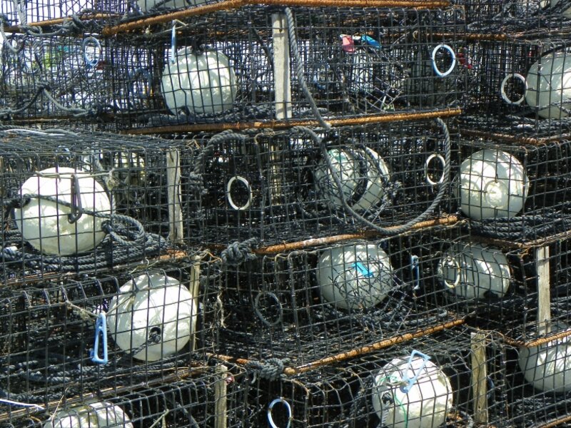 "CRAB TRAPS"