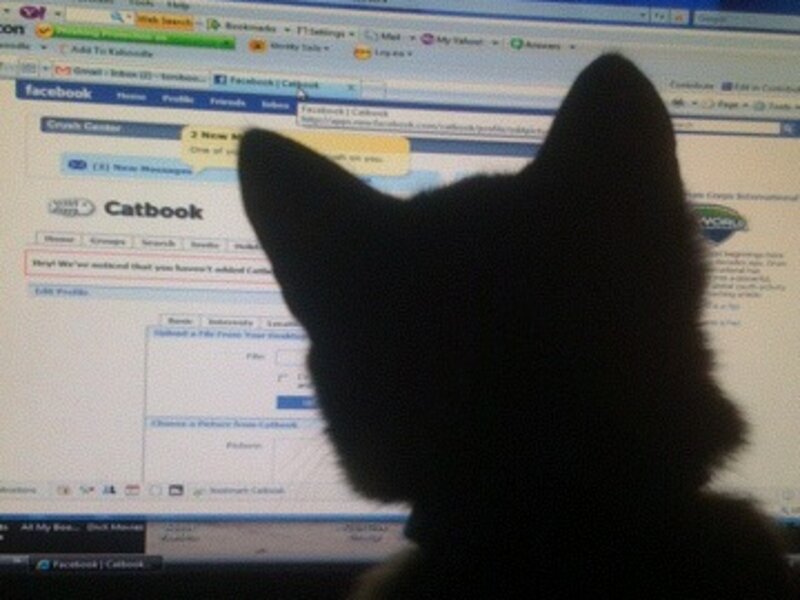 Curiosity...