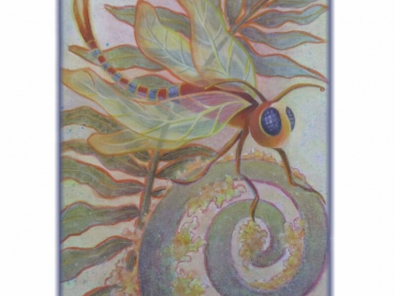 Fanciful Creations
