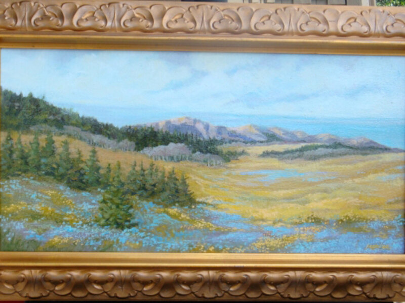 Springtime in the Rockies