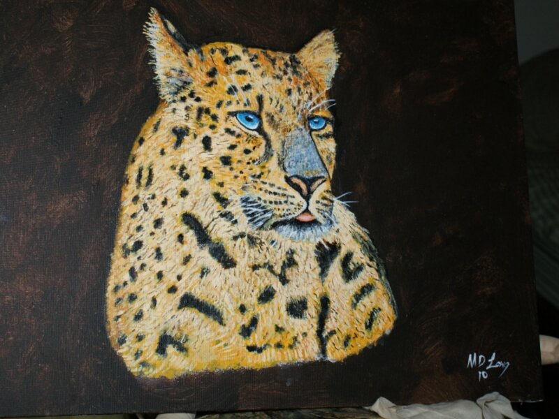 Lepard
