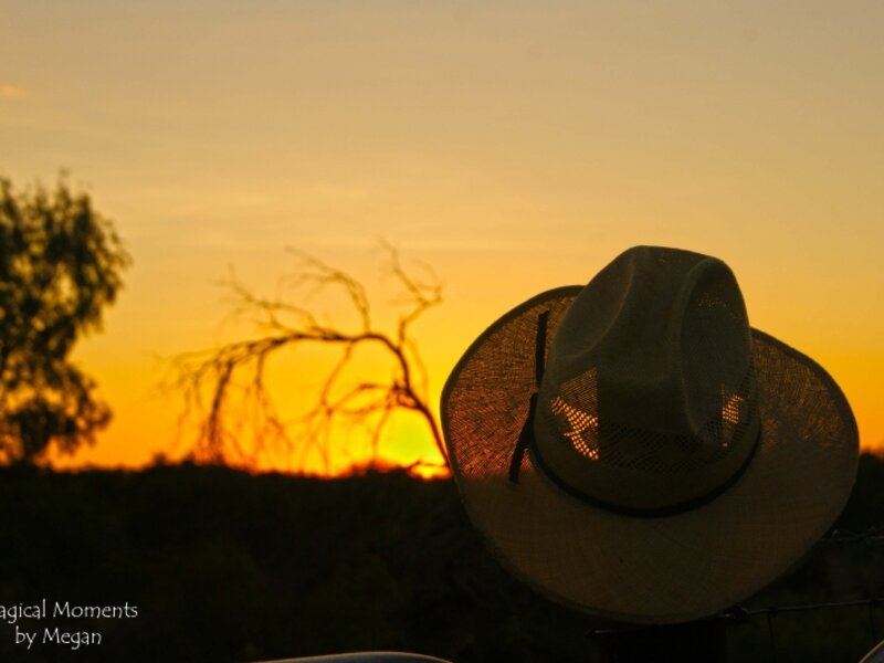 Cowboy