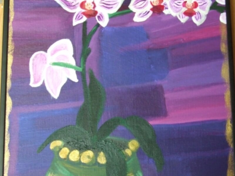 phalaenopsis orchid