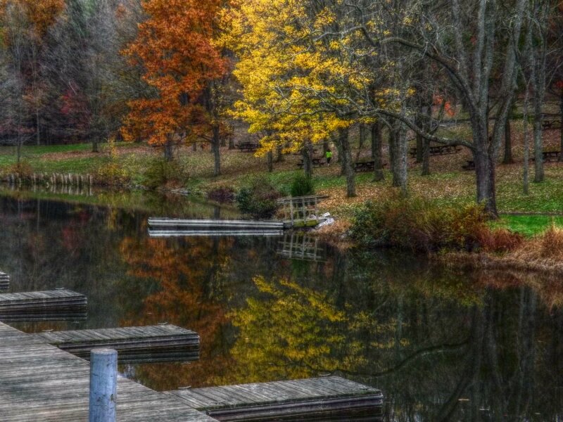 Fall reflection
