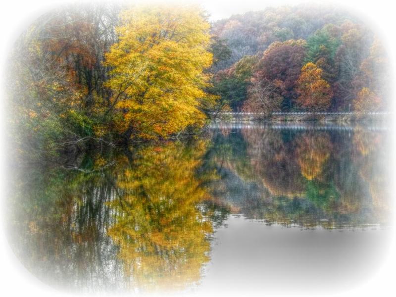 Fall reflection 2