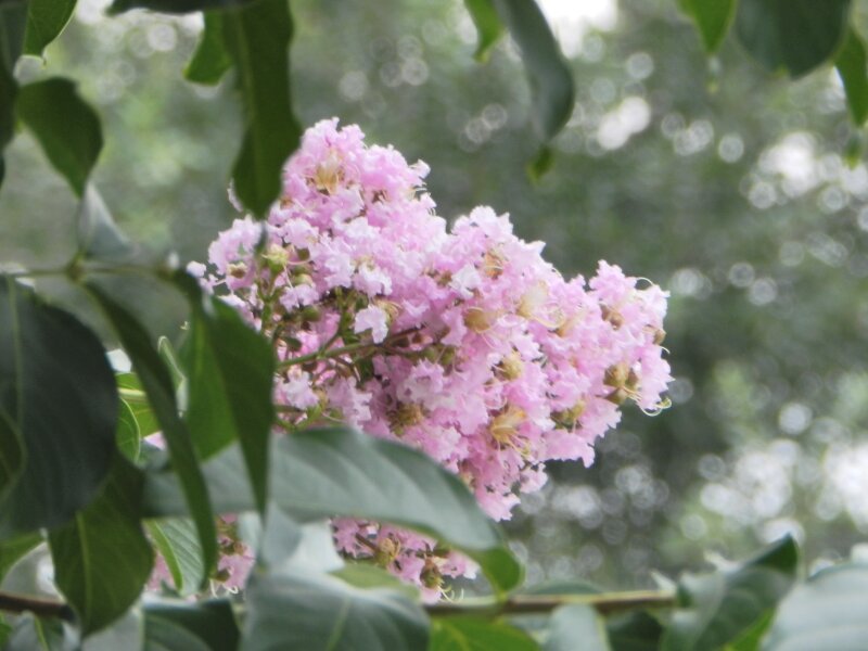 Beauty of nature