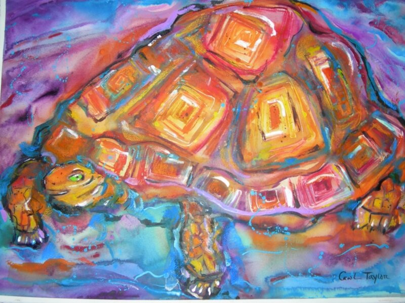 Sea Turtle