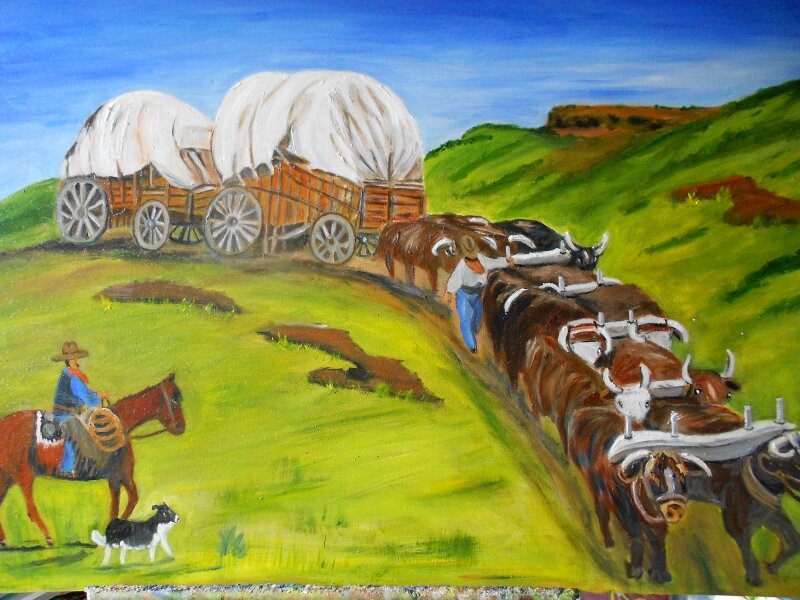 Oxen Train