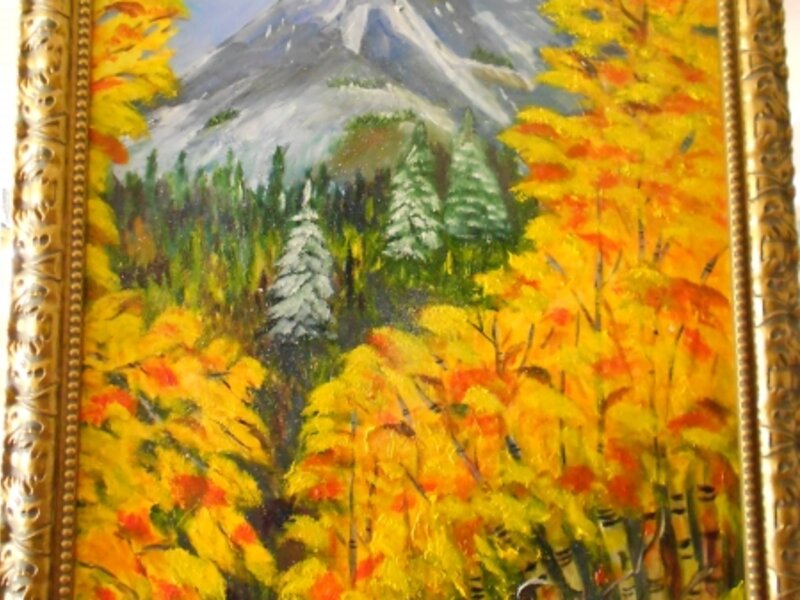 Colorado Aspens
