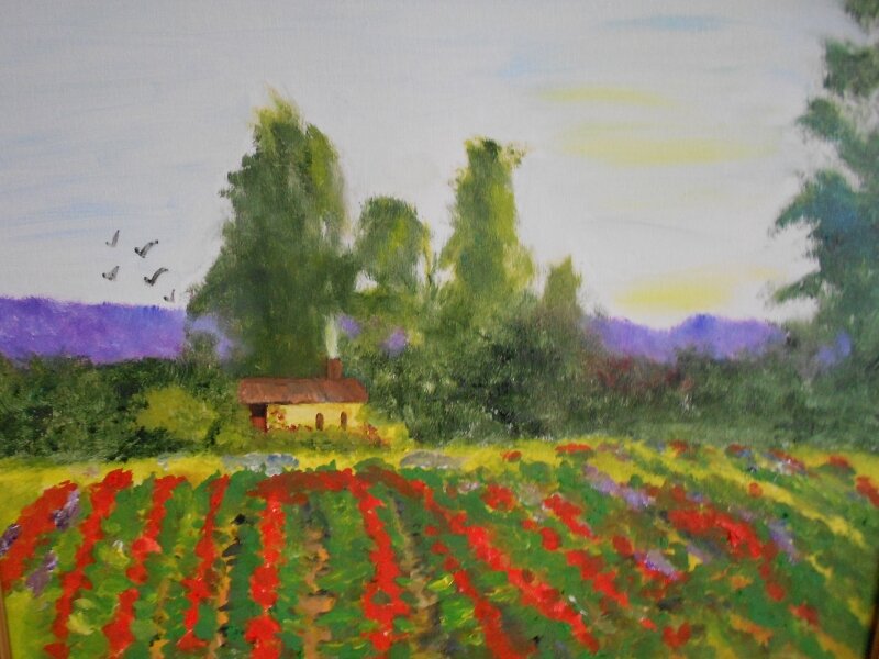 Italian Fields