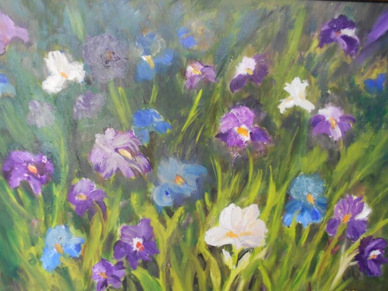 Wild Flowers