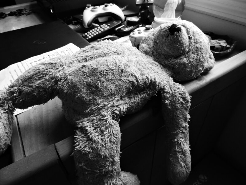 A 'Beary' Special Time