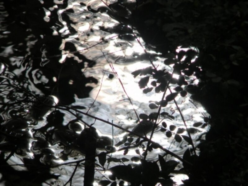 Dark waters 