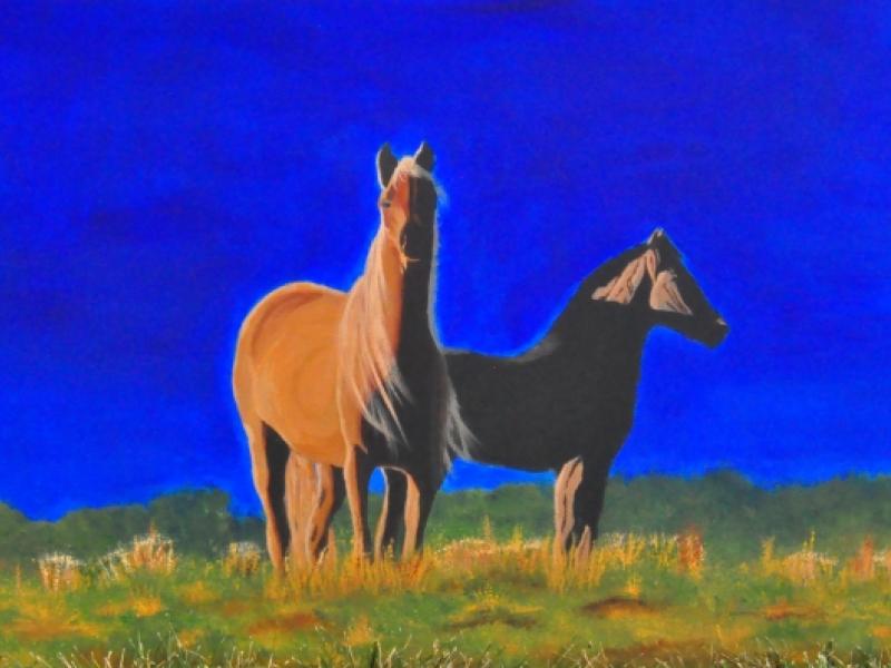 Wild Horses at Dawn