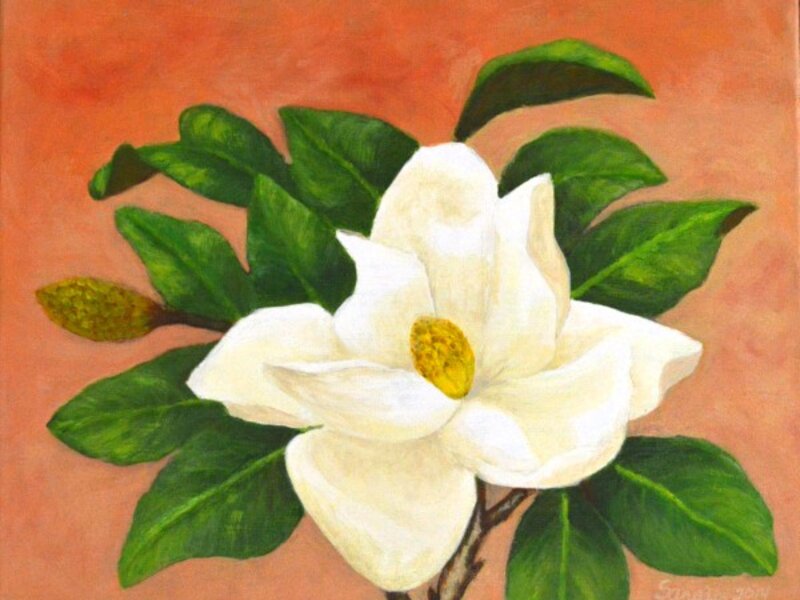 "Magnolia II"
