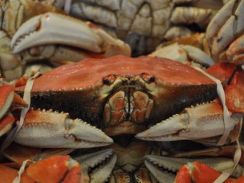 Pike's Place Crab