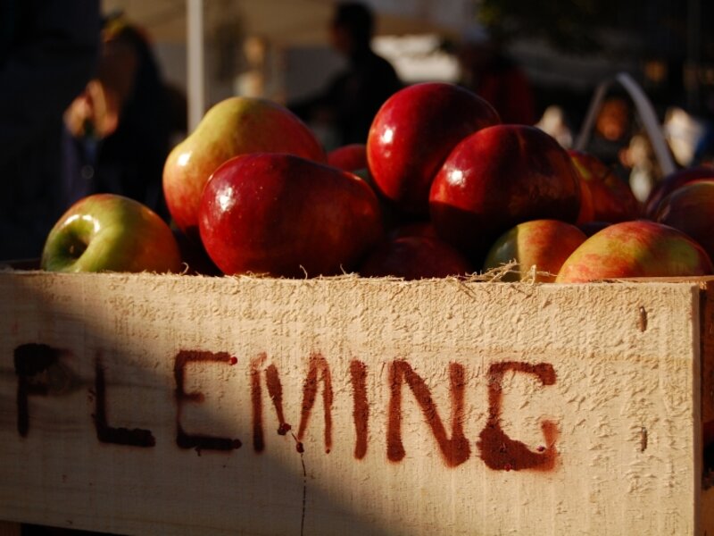 An Apple A Day