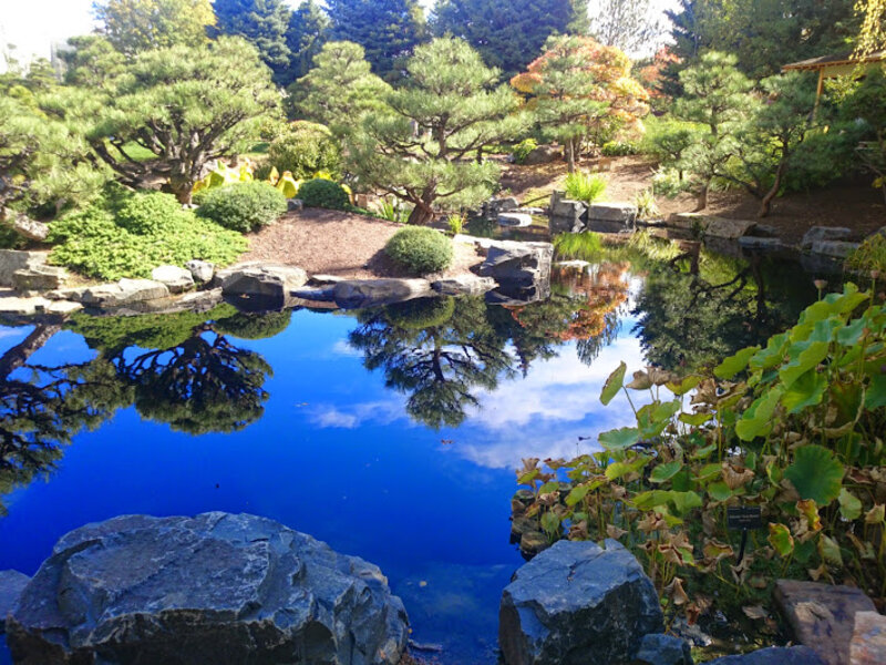 Reflection