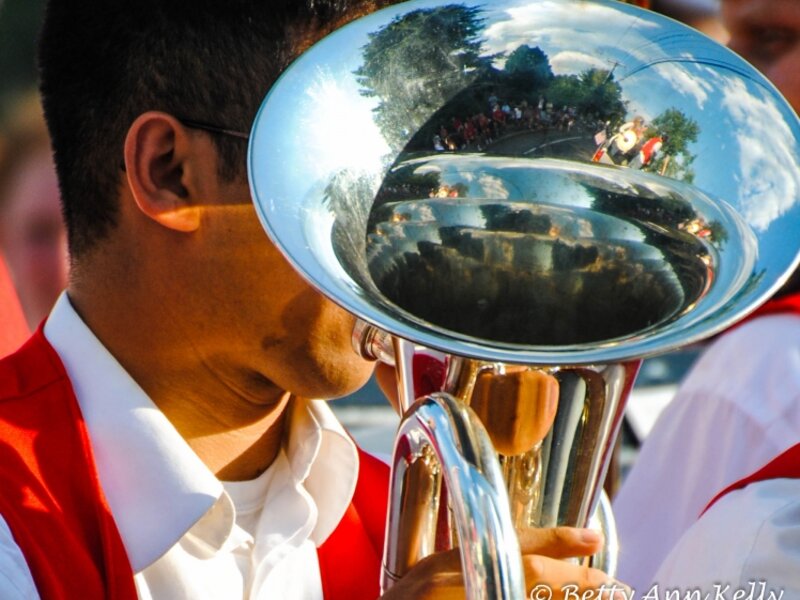 Horn Section