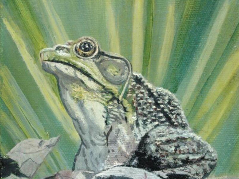 Earth Day Frog 