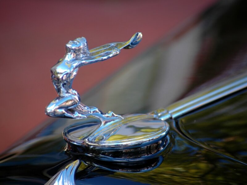 The lines of a woman...