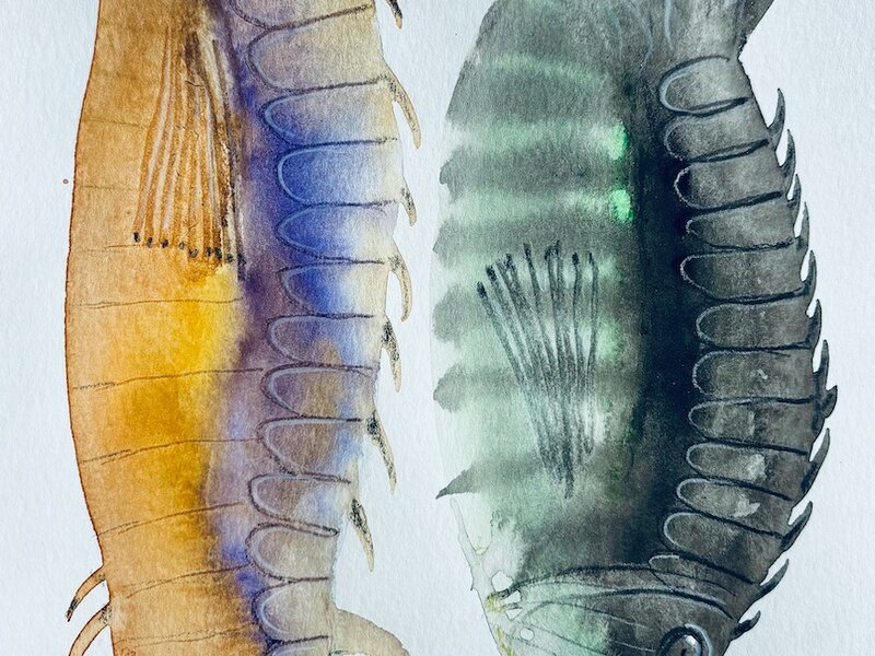 Painting in gouache, April, 2025.