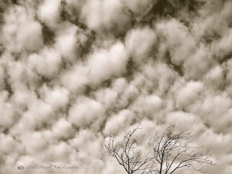 Dappled Winter Sky
