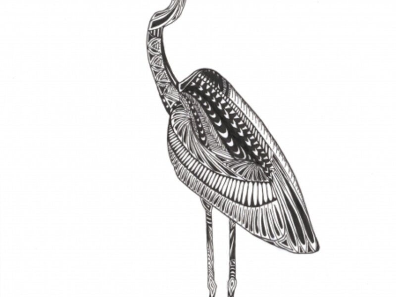 Big Blue Heron