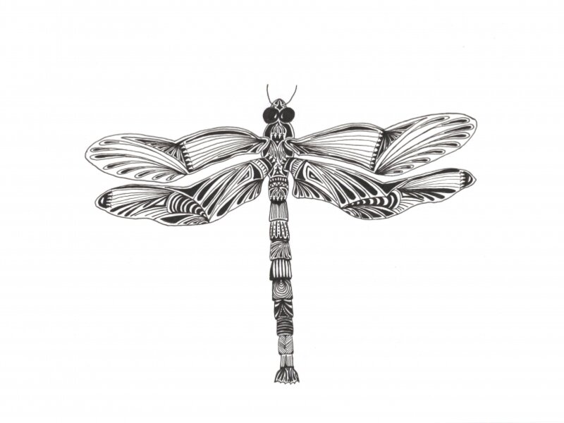 Dragonfly 