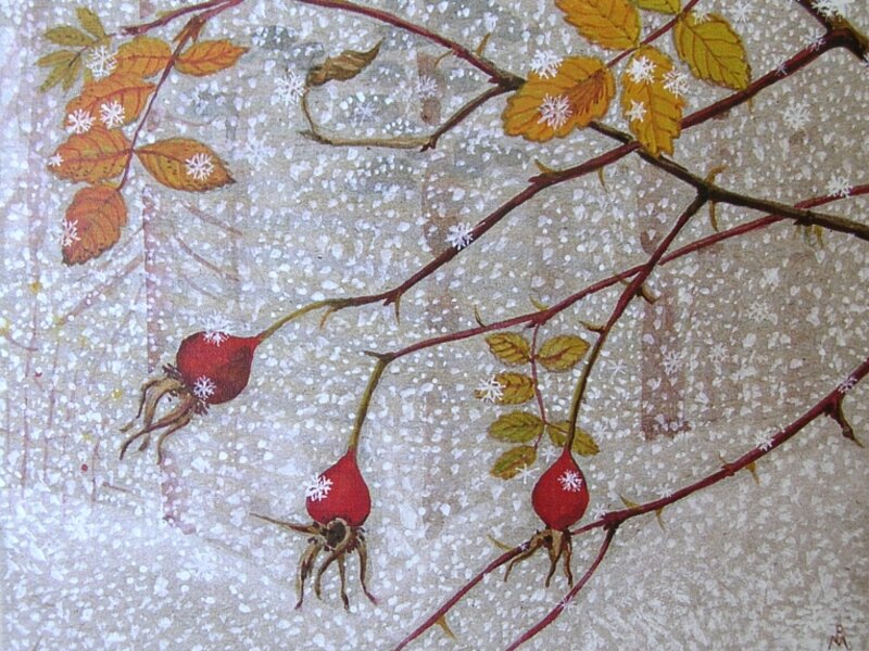 December. Rosehips.