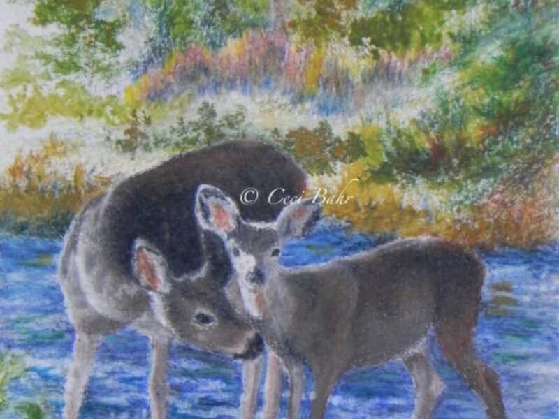 Deer on the Truckee