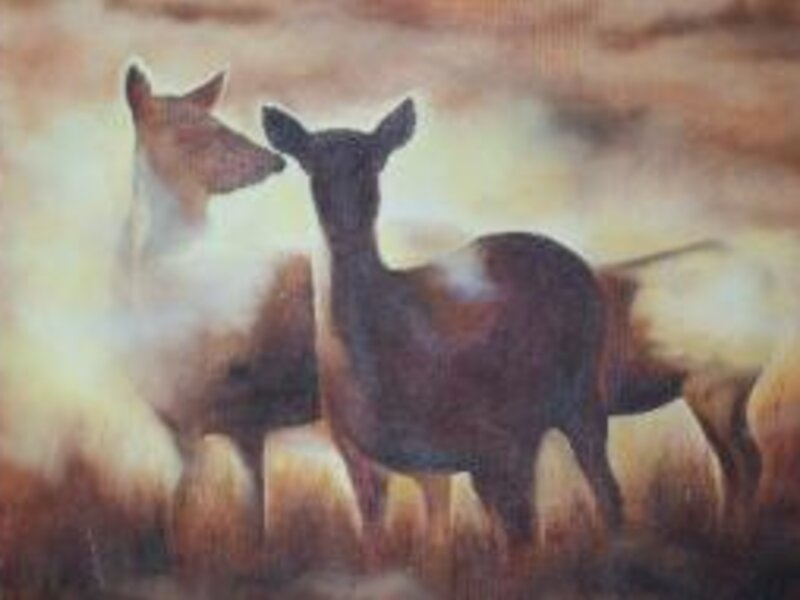 Deer in the Mist
