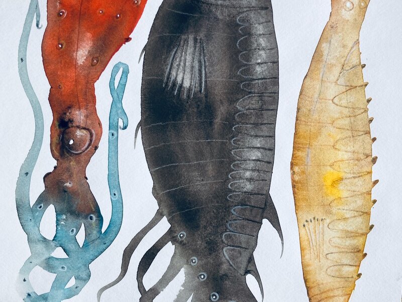 Gouache painting of imaginary fish, June, 2024. 