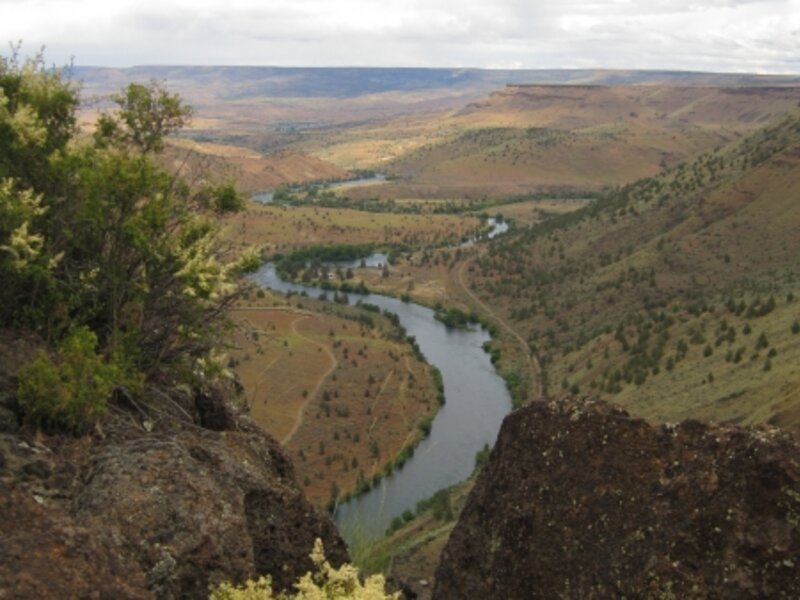 View From The Top