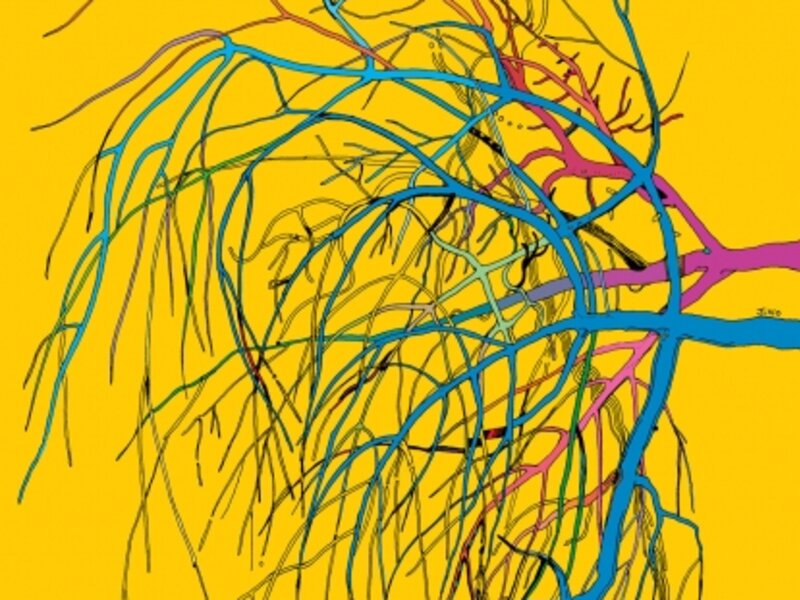 Dharma tree