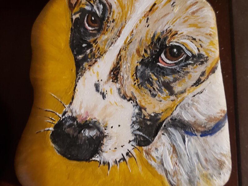 Closeup of Dog painted on rock, focusing on eyes.