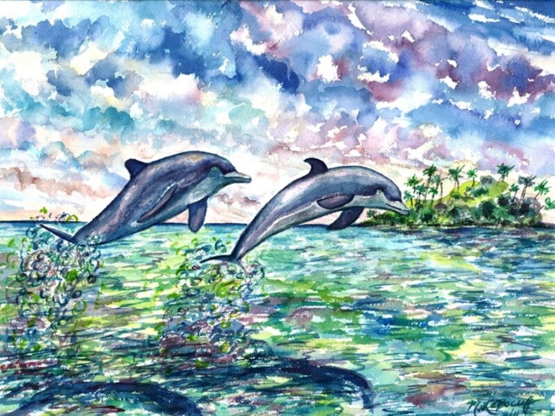 Dolphins At Play