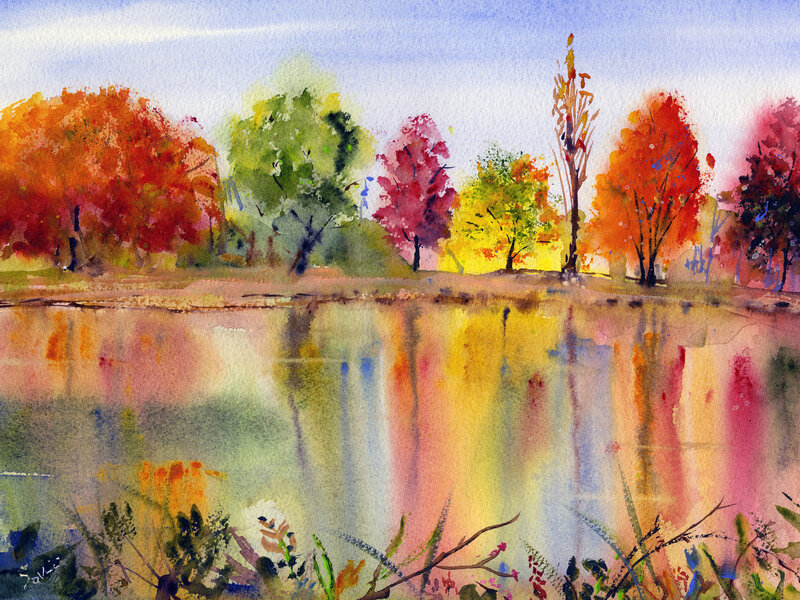 Colorful Fall Trees in full Bloom mid October