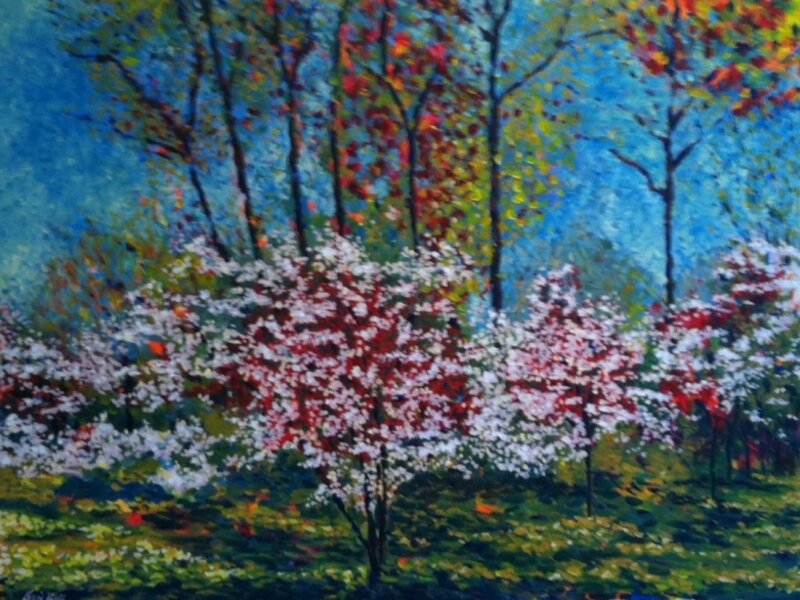 Duke Dogwoods