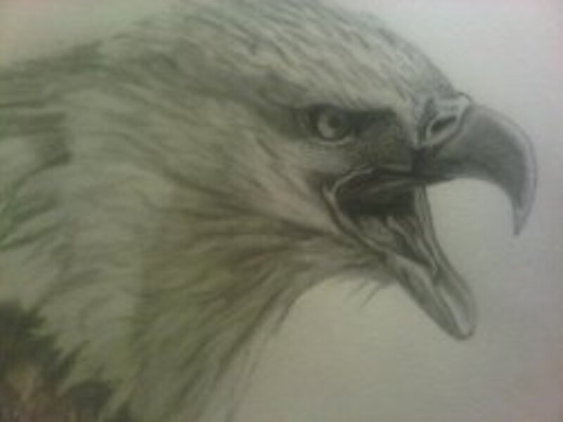 American Eagle