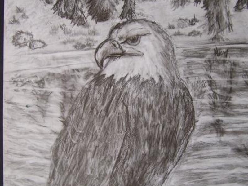 Eagle, age 9