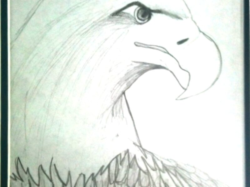 Eagle