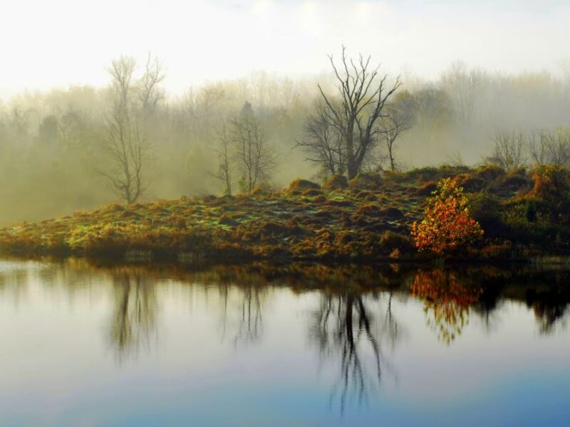 Early Morning Mist at Little Seneca Lake, Boyds, MD. Photograph by Neil Lewis Willens.